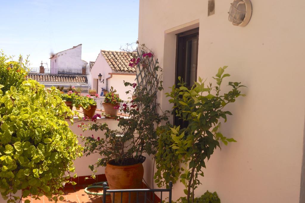 科爾多瓦Penthouse Puerta De La Juderia公寓 外观 照片